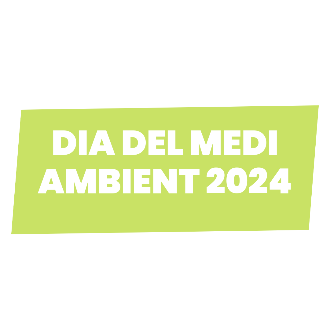 DIA DEL MEDI AMBIENT 2024