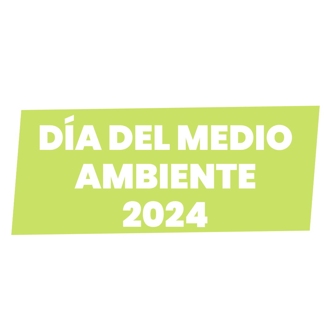 DIA DEL MEDIO AMBIENTE 2024