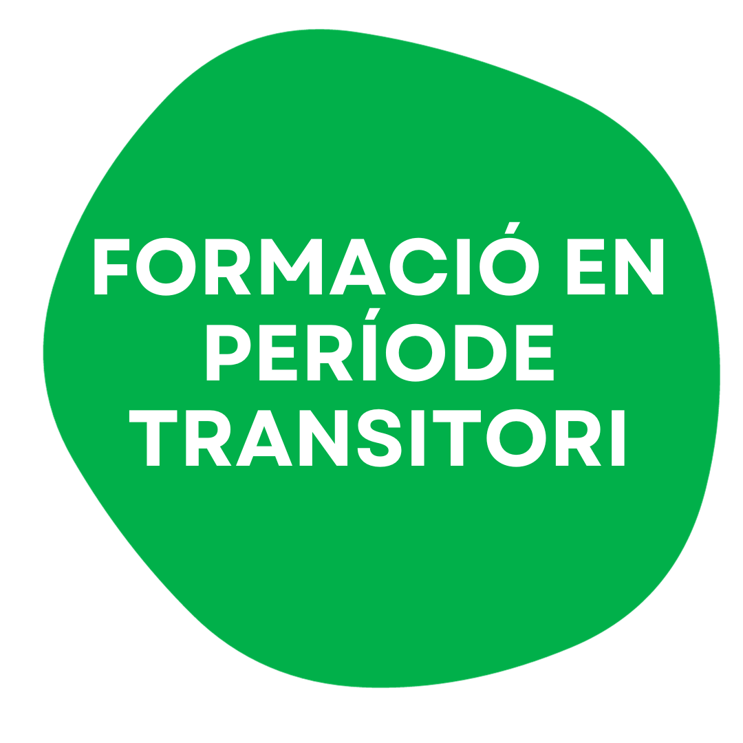 FORMACIÓ EN PERÍODE TRANSITORI
