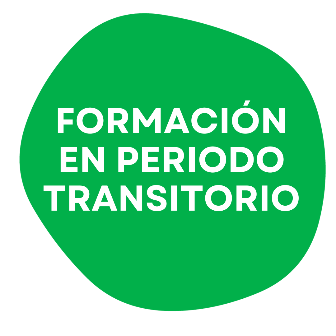 FORMACIÓN EN PERIODO TRANSITORIO