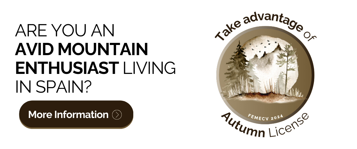 autumn license 2024