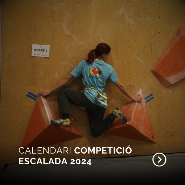 competició escalada 2024