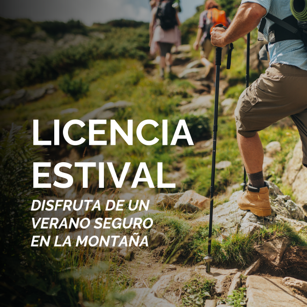 licencia estival femecv 2024