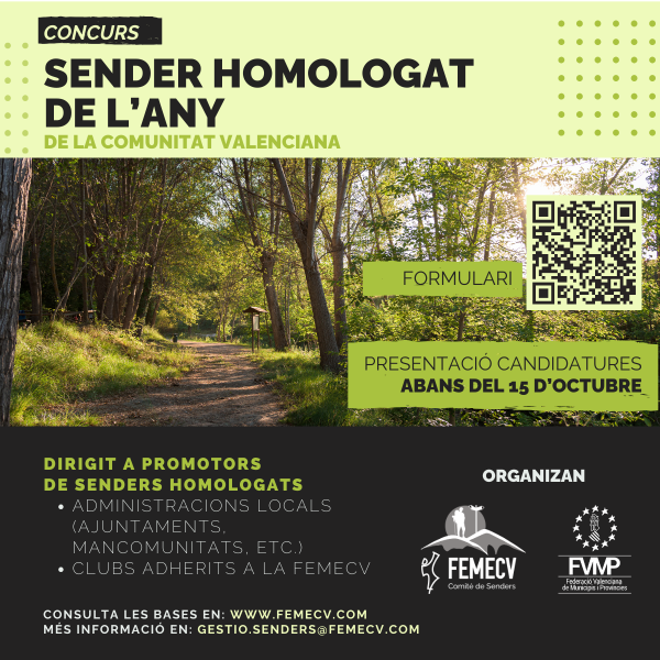 sender homologat 2024