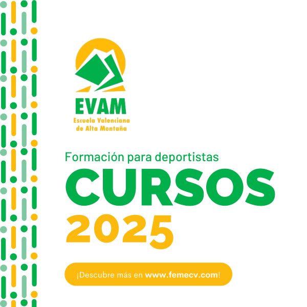 cursos evam 2025