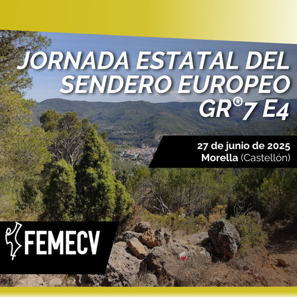 Portada Noticia