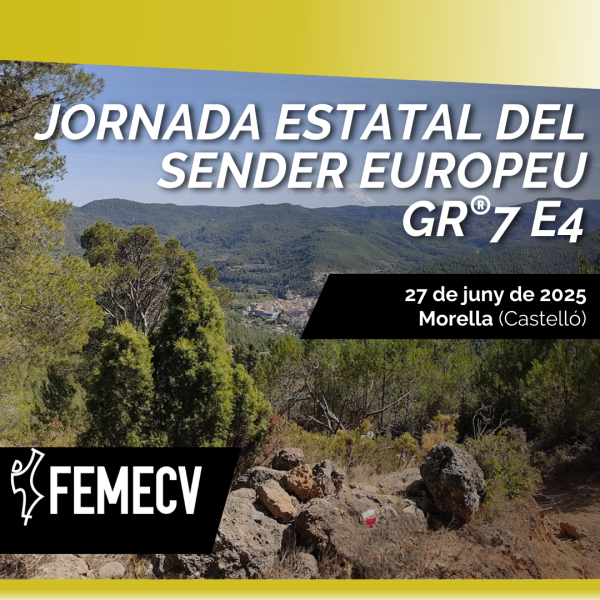 Portada Noticia