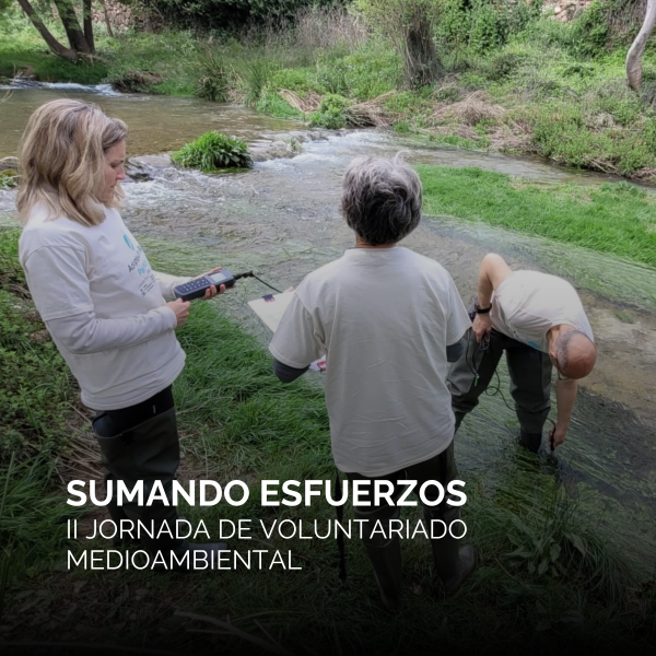 Portada Noticia