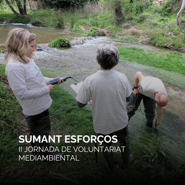 Portada Noticia