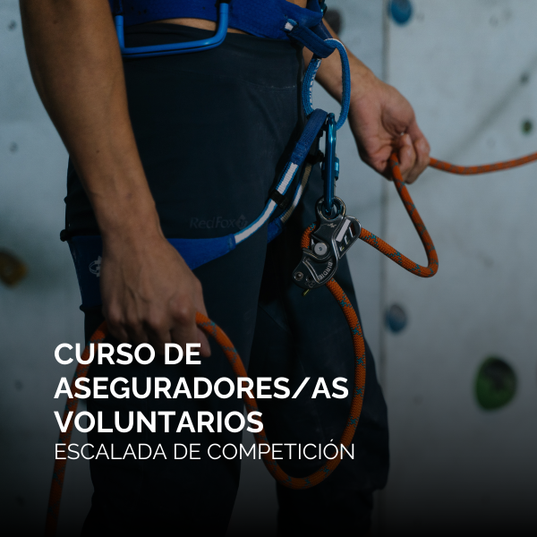 Portada Noticia