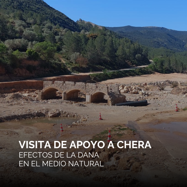 Portada Noticia