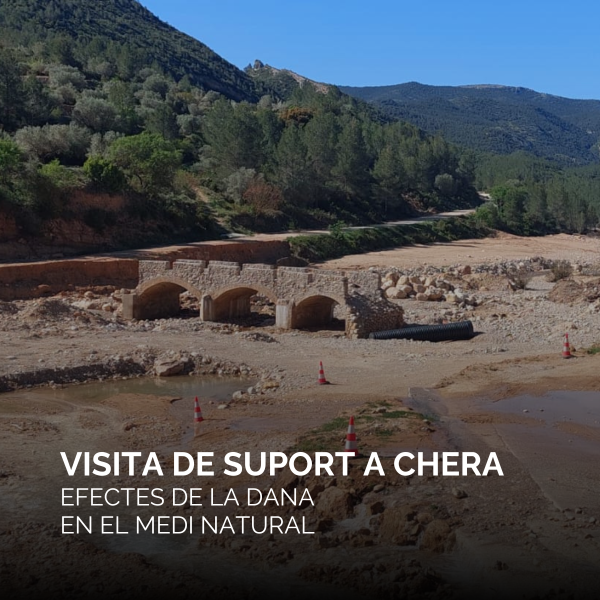Portada Noticia