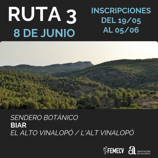 Portada Agenda