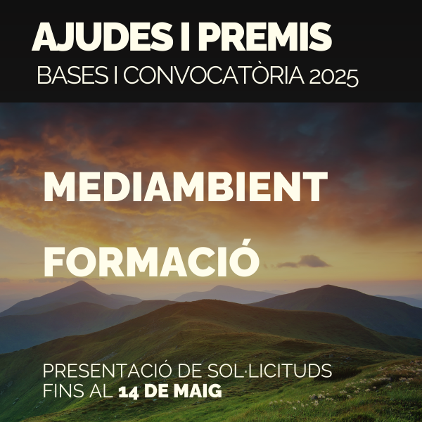 Portada Noticia
