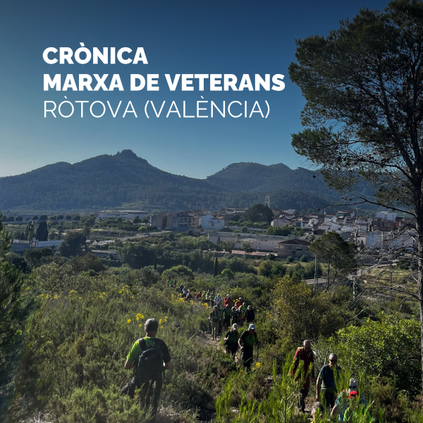 Portada Noticia