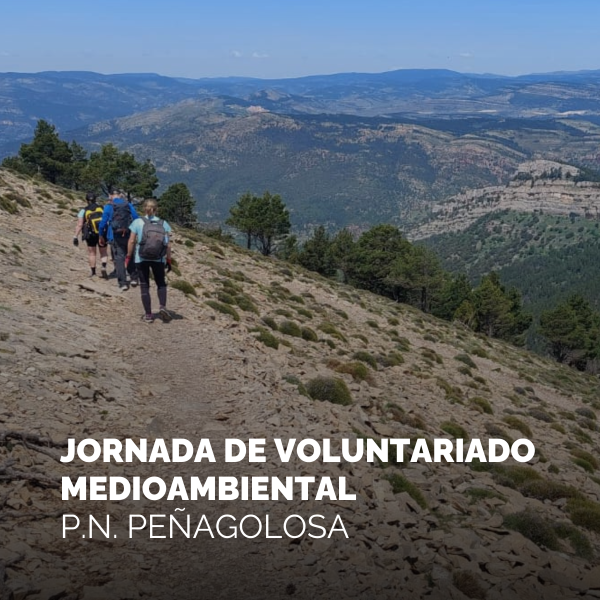 Portada Noticia