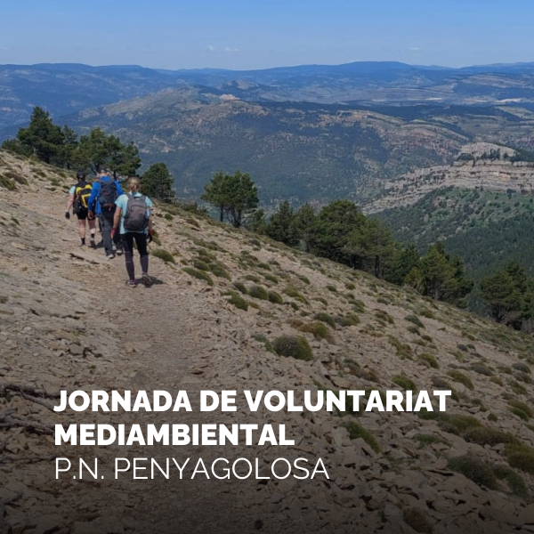 Portada Noticia