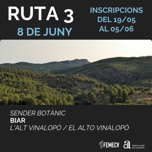 Portada Noticia