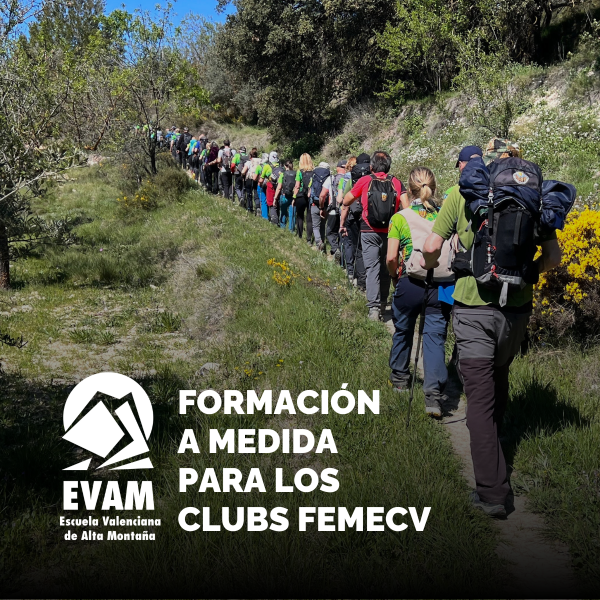 Portada Noticia