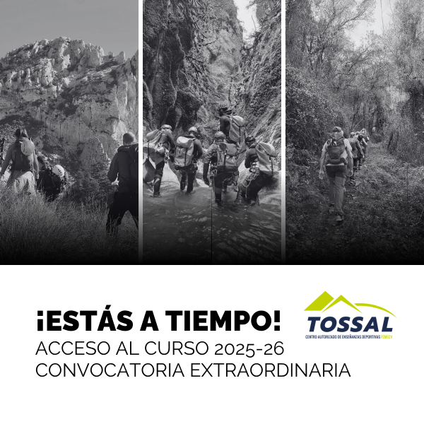 Portada Noticia