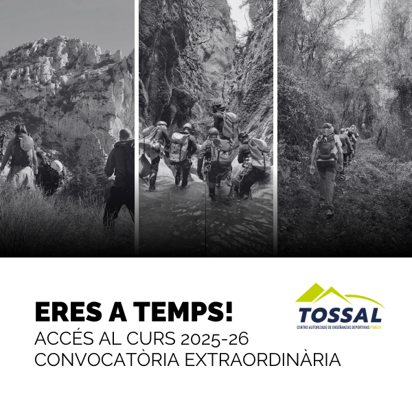 Portada Noticia