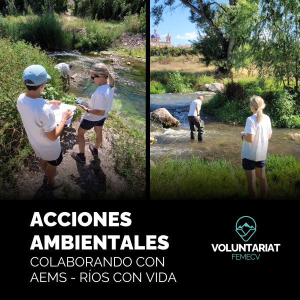 Portada Noticia