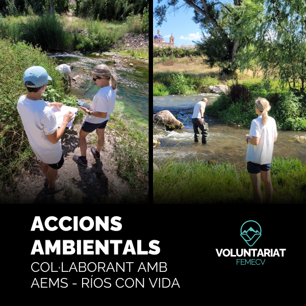 Portada Noticia