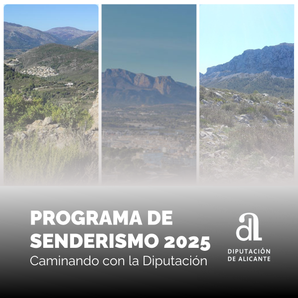 Portada Noticia