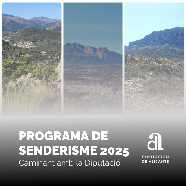 Portada Noticia