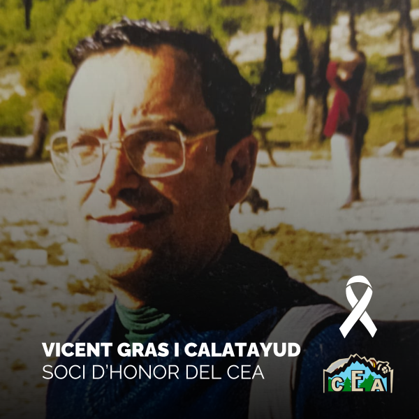 dep vicent gras i calatayud