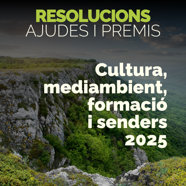 Portada Noticia