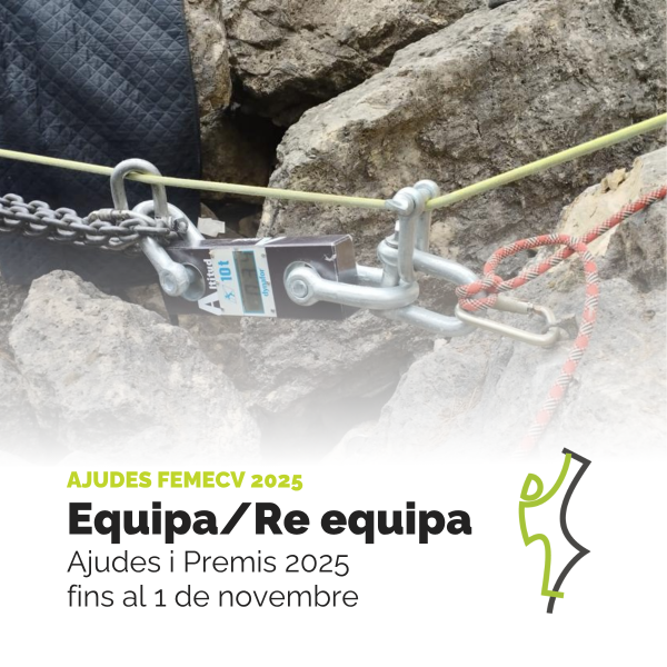 ajudes equipa femecv