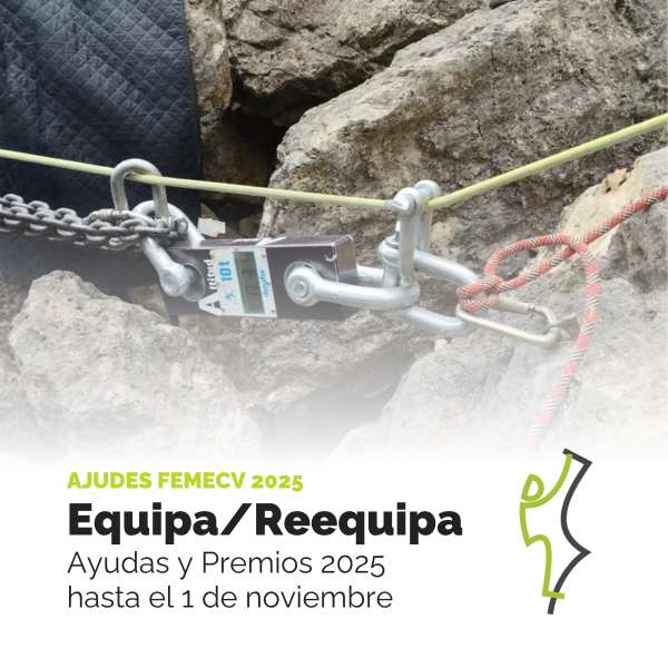 ayudas equipa femecv 2025