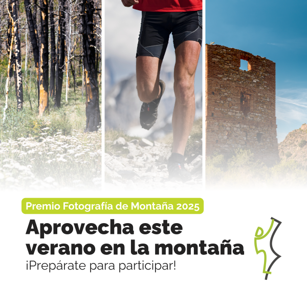 concurso fotografia verano