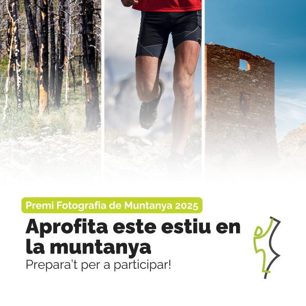 concurs fotografia al estiu