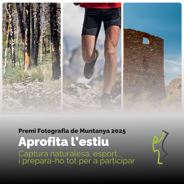 Portada Noticia