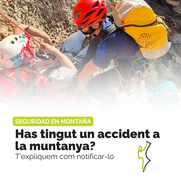 notificar accident segur femecv