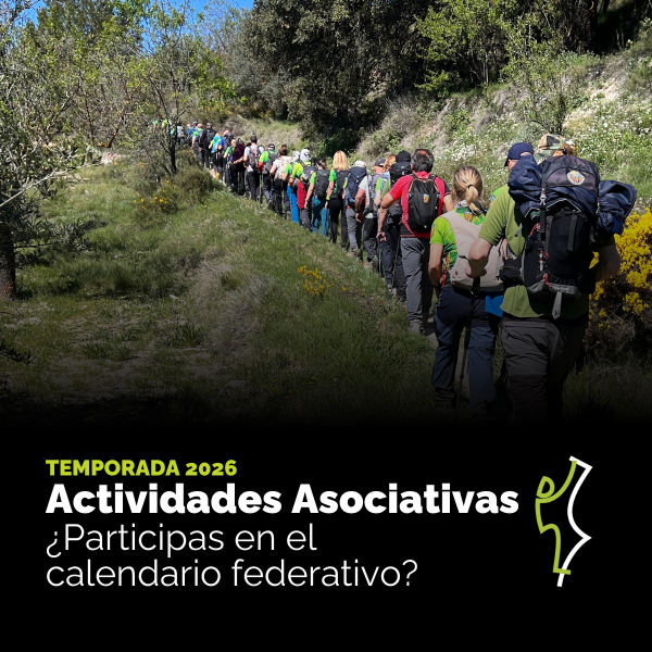 Portada Noticia
