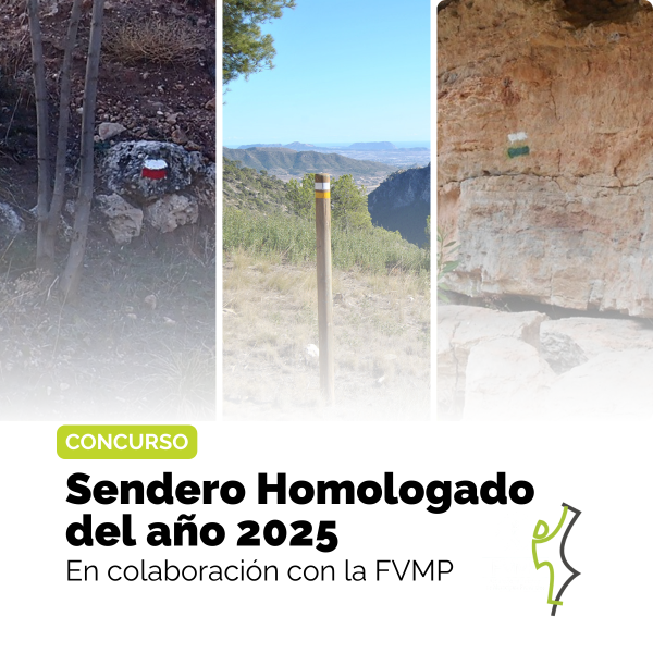 Portada Noticia