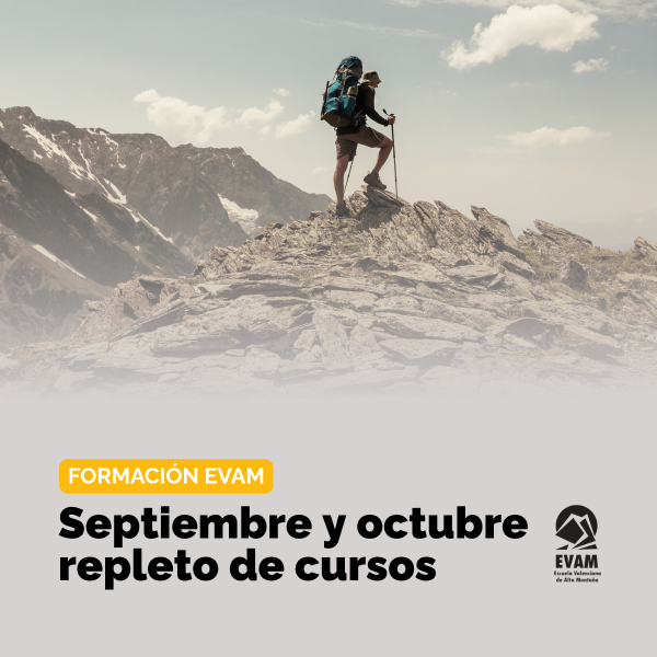 Portada Noticia