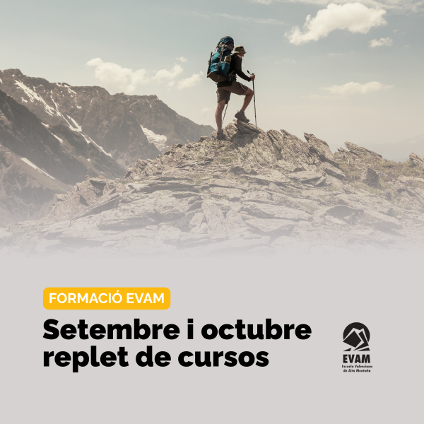 Portada Noticia