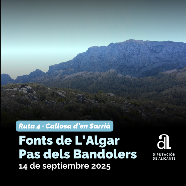 Portada Noticia