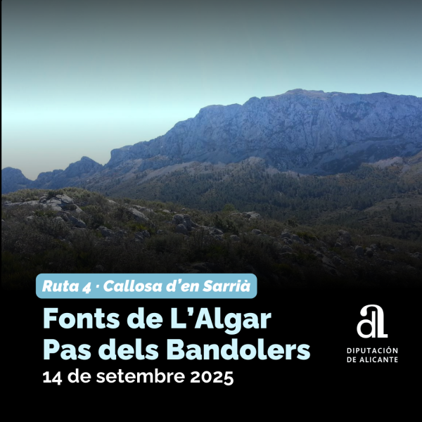 Portada Noticia