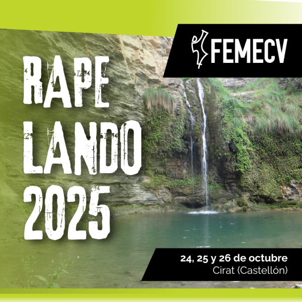 Portada Noticia