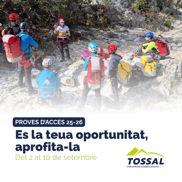 Portada Noticia
