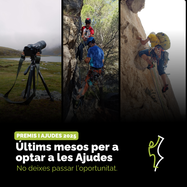Portada Noticia