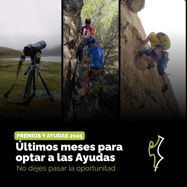 Portada Noticia