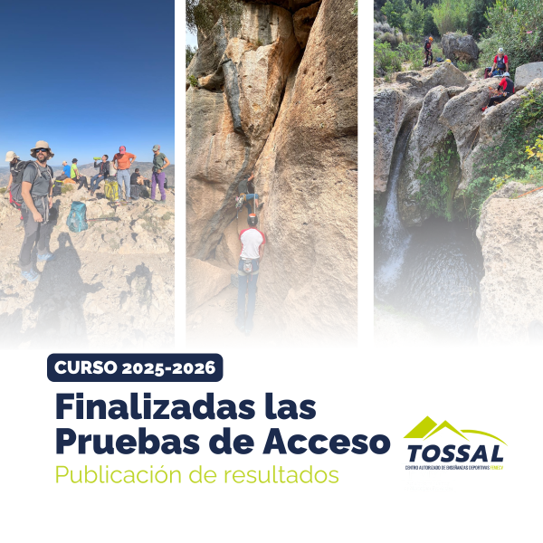 Portada Noticia