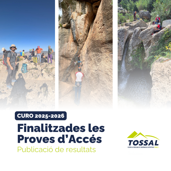 Portada Noticia