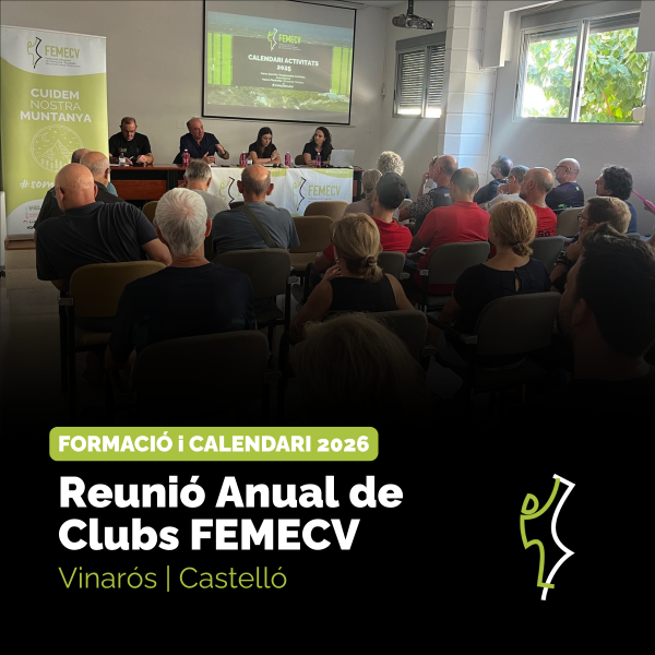 Portada Noticia